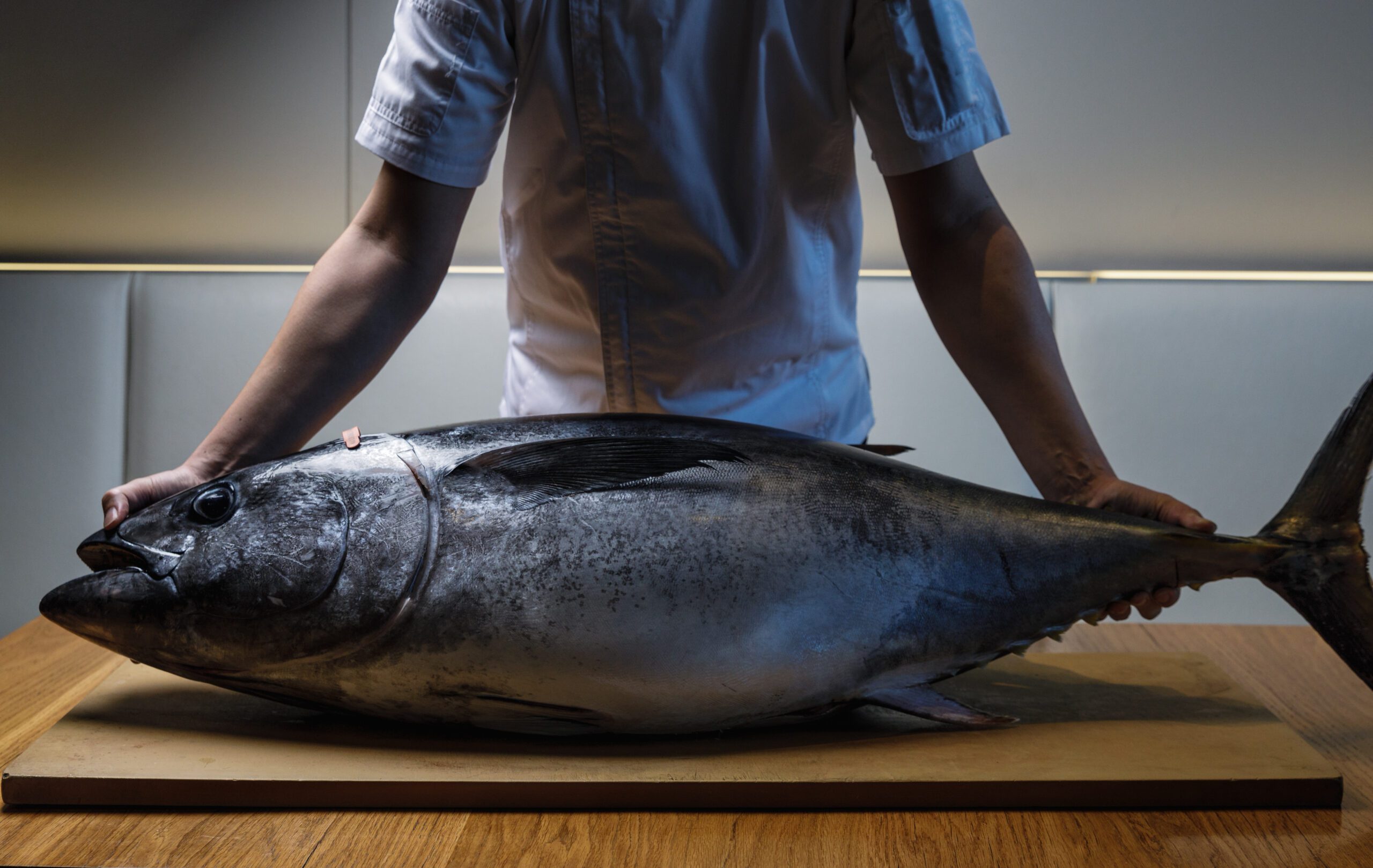 Saké Restaurant & Bar celebrates Southern Bluefin Tuna season
